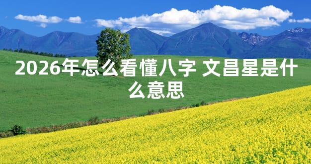 2026年怎么看懂八字 文昌星是什么意思